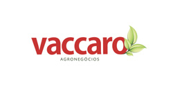 Vaccaro.jpg